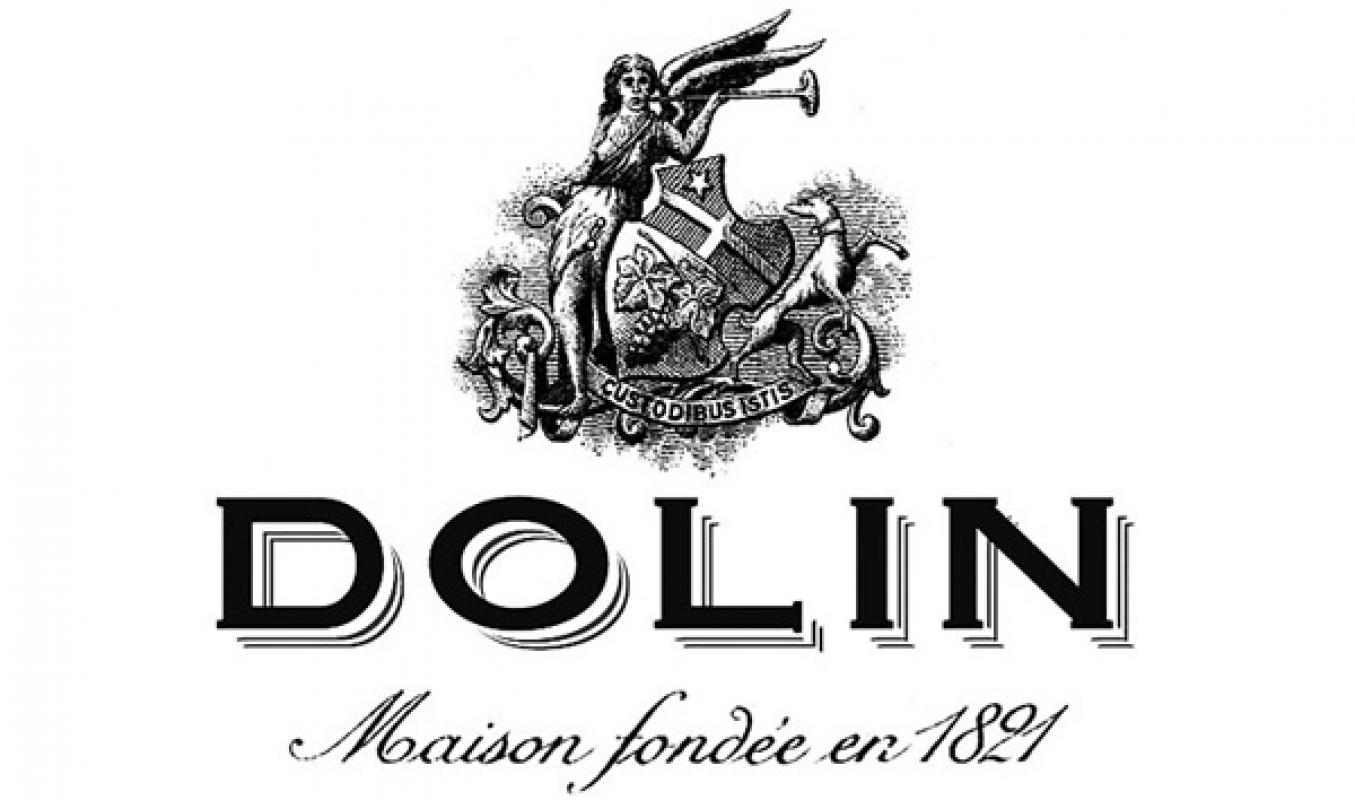 Логотип Dolin