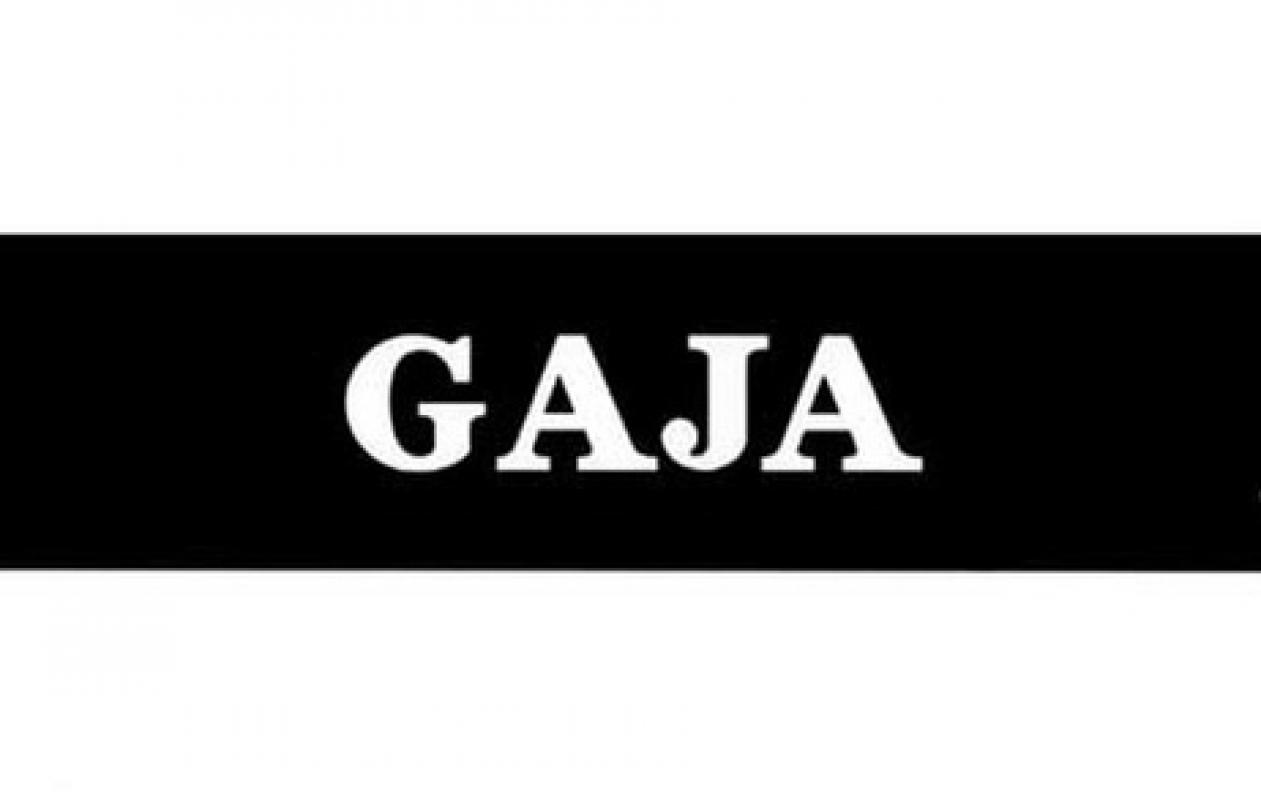 Логотип Gaja