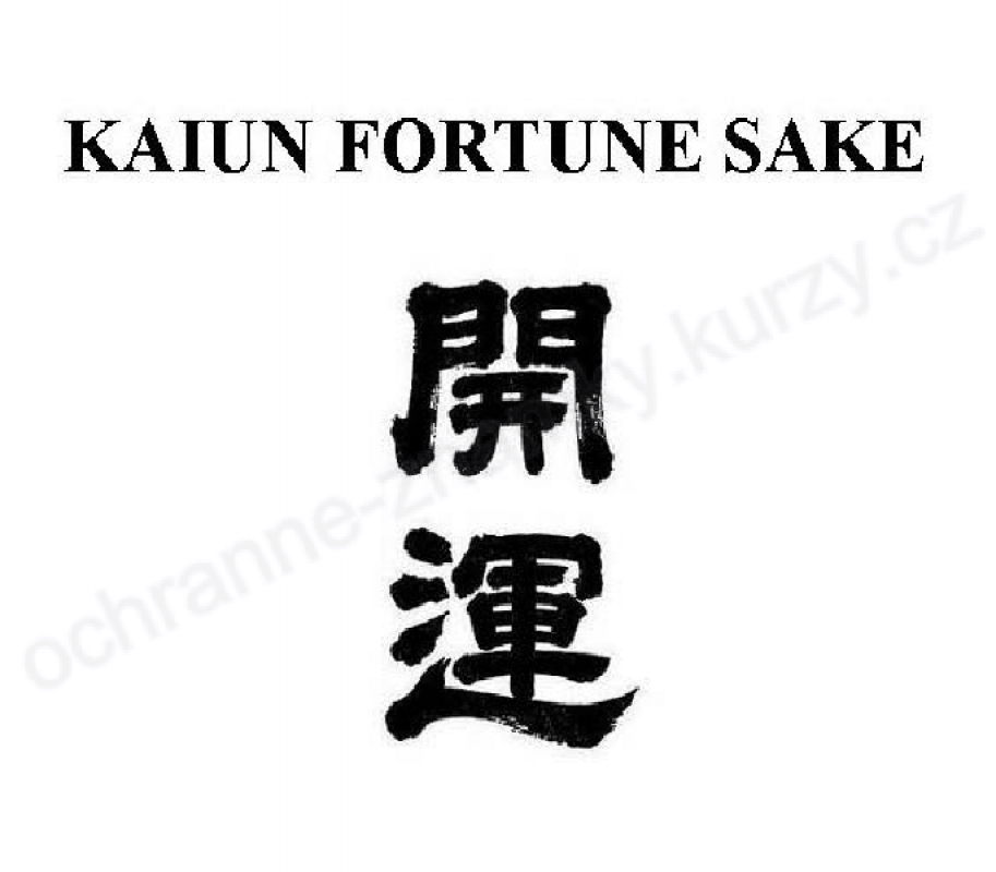 Логотип Kaiun