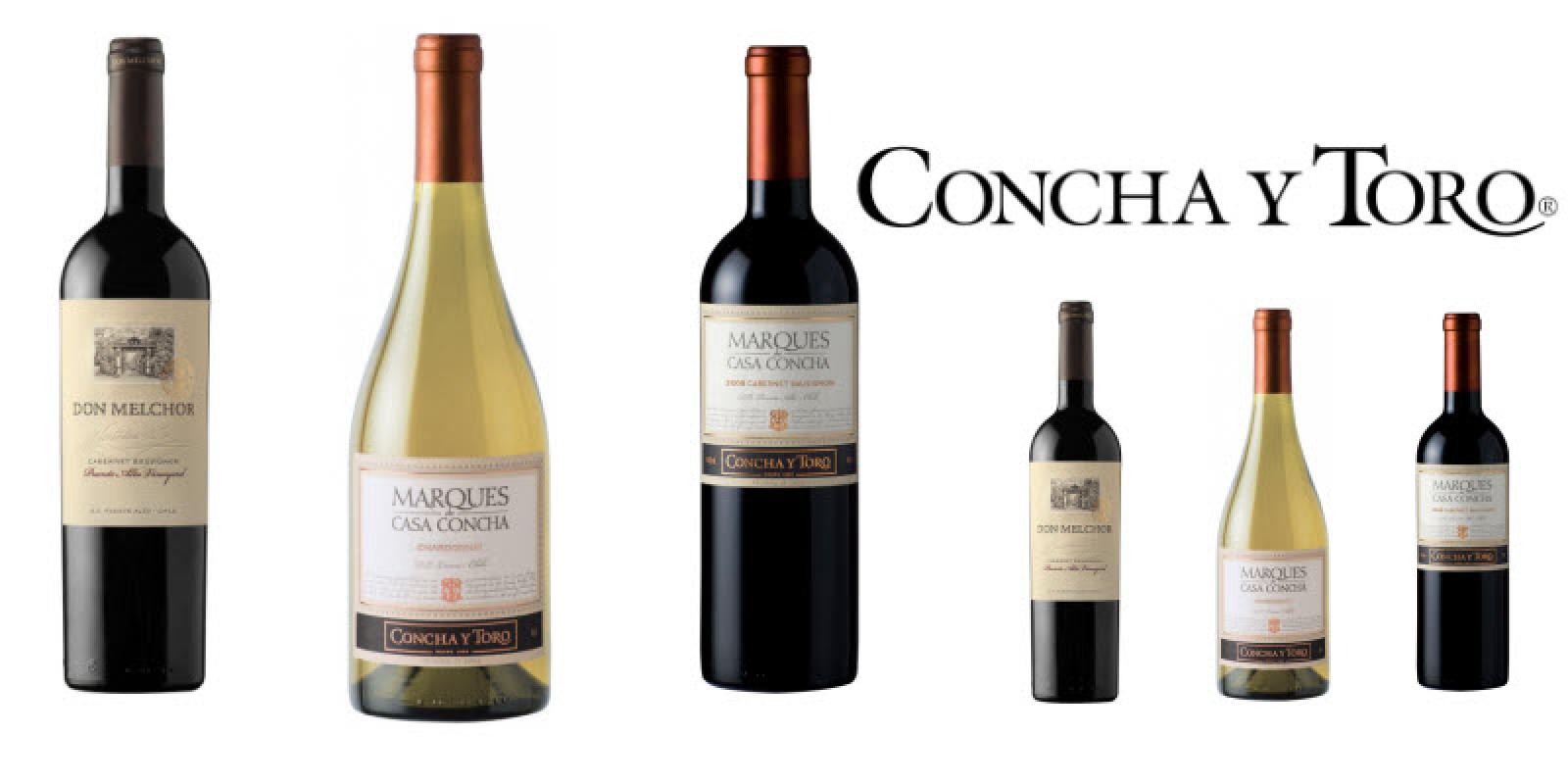Логотип Concha y Toro