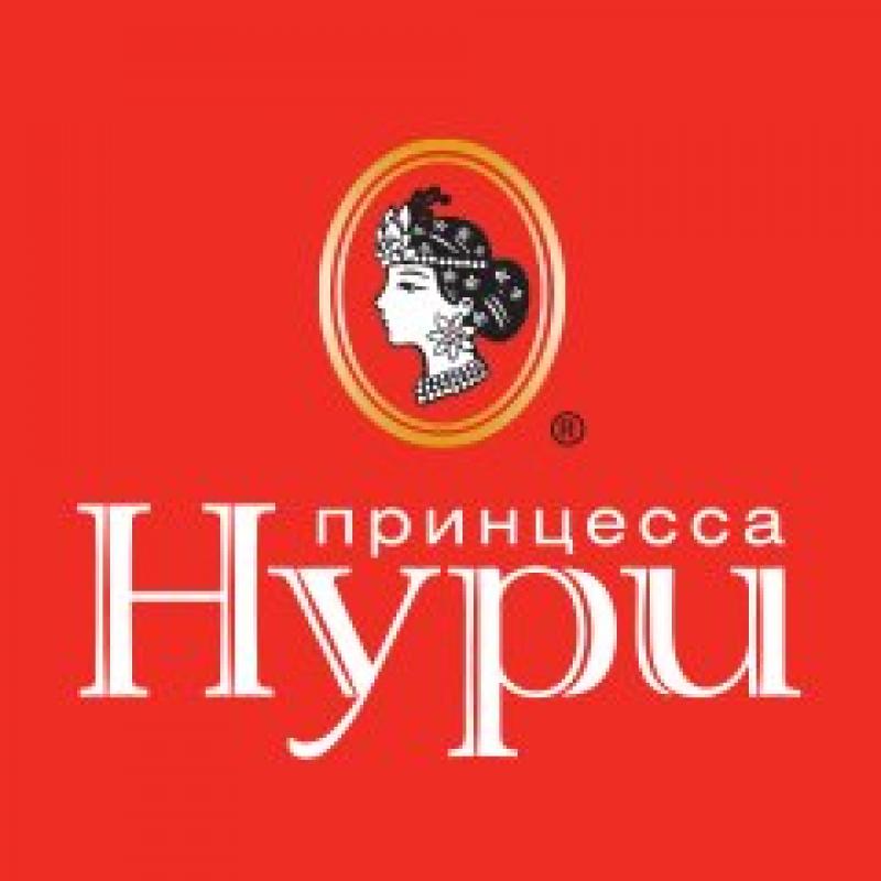 Логотип Принцесса Нури
