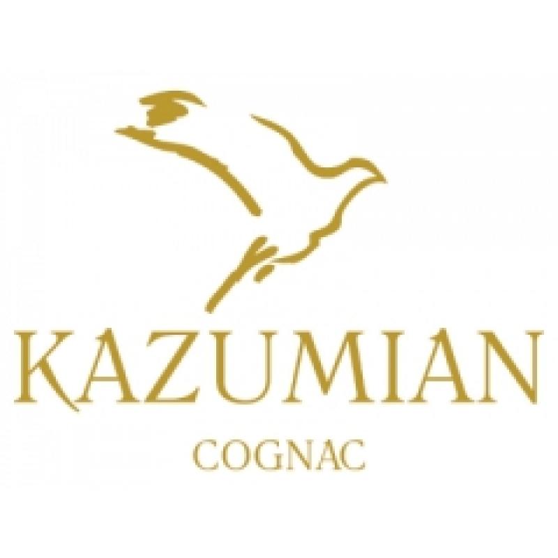 Логотип Kazumian