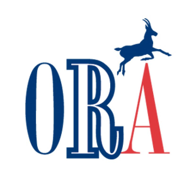 Логотип ORA