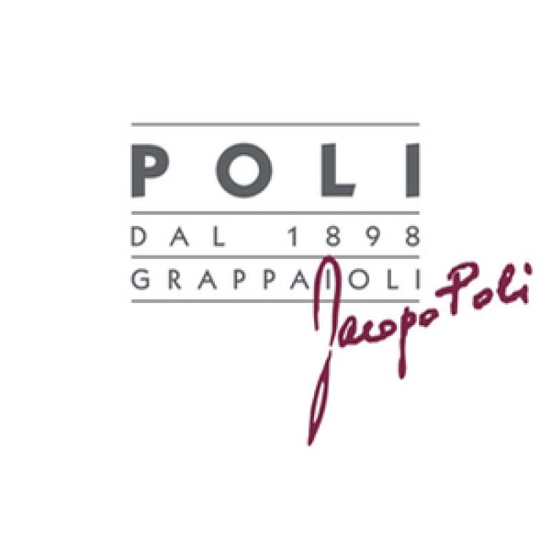 Логотип Poli