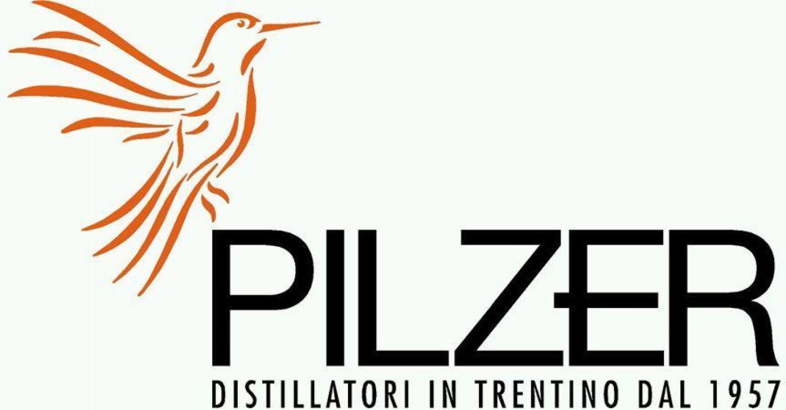 Логотип Pilzer