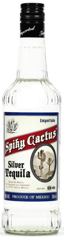 Логотип Spiky Cactus