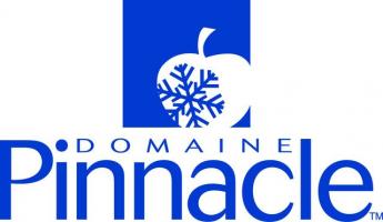 Логотип Domaine Pinnacle