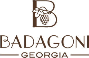 Логотип Badagoni