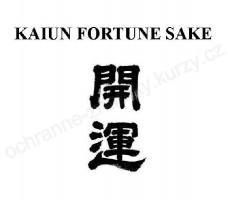 Логотип Kaiun