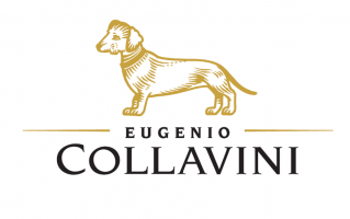 Логотип Eugenio Collavini