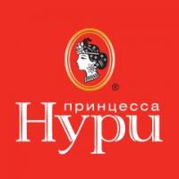 Логотип Принцесса Нури