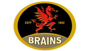 Логотип Brains
