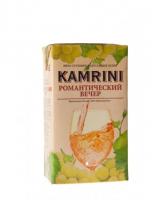 Логотип Kamrini