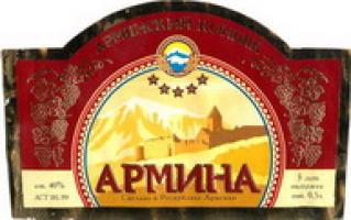 Логотип Armina
