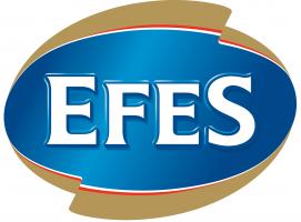 Логотип Efes Group