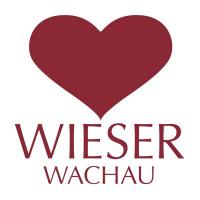 Логотип Wieser