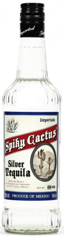 "Spiky Cactus" Silver