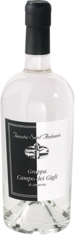Tenuta Sant'Antonio, "Campo dei Gigli"